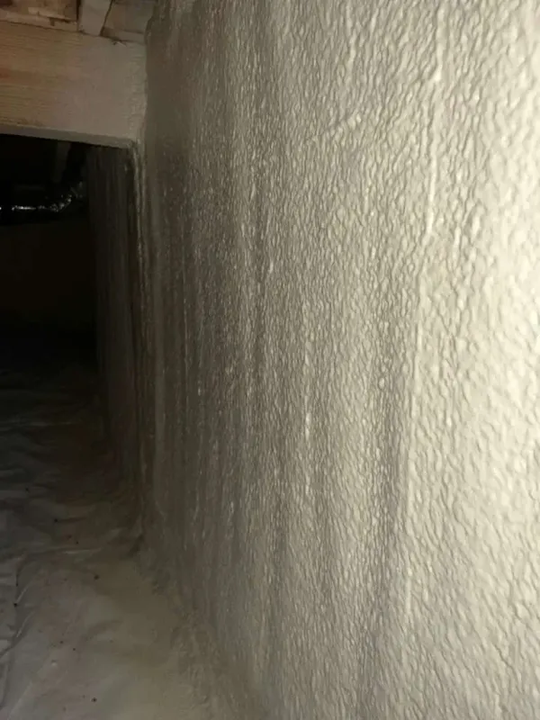 Project file closed-cell-spray-foam-13.webp