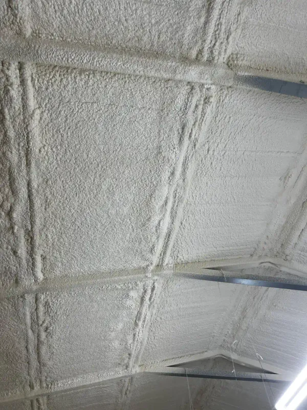 Project file closed-cell-spray-foam-30-008.webp