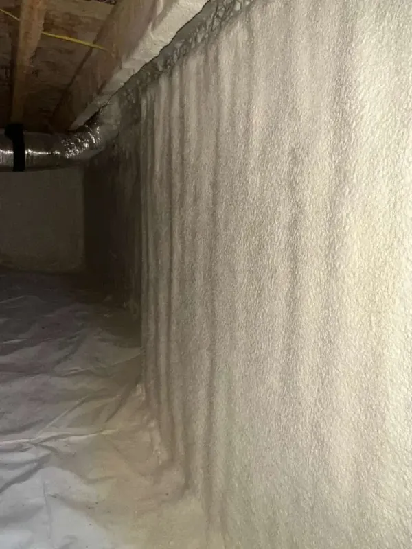Project file foam-insulation-install-5.webp