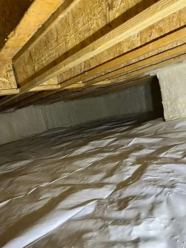 Project file encapsulated-basement.webp