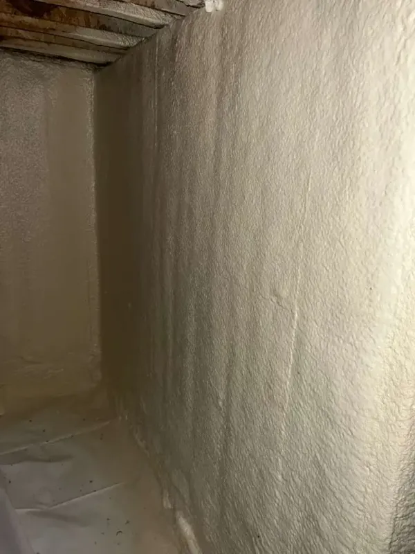Project file high-density-foam-21.webp