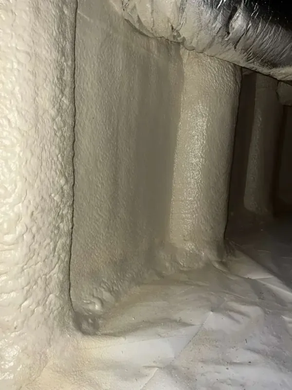 Project file high-density-foam-9.webp